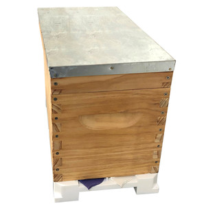 6 Frame complete NUC - Box + Lid + Smart Bottom Board