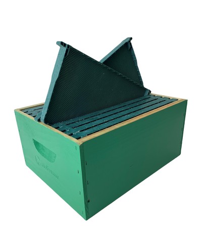 RTG Full Depth Standard PAINT DIP + ULTIMATE BIOFORME SHEET 30G WAX