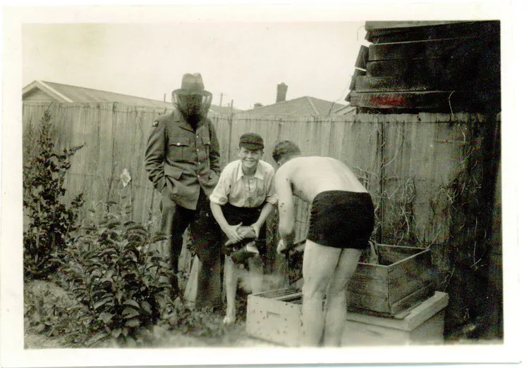 Kevin Ecroyd, 13, beekeeping with his dad, Arthur, in January 1942
