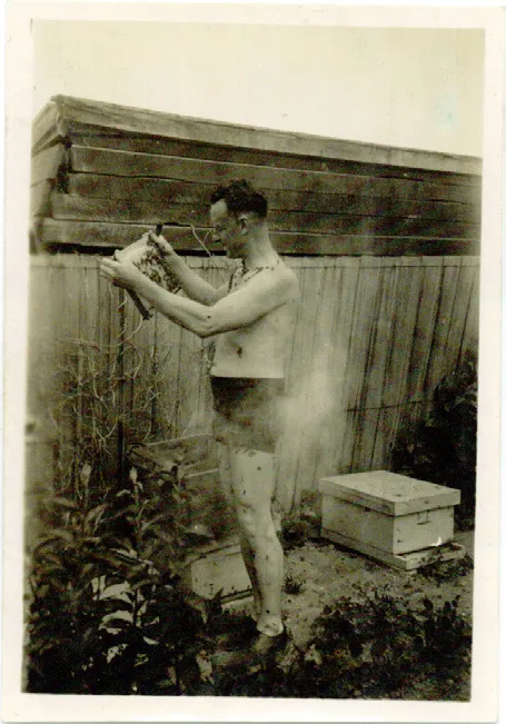 Arthur Ecroyd (Stuarts grandfather) beekeeping in January 1942
