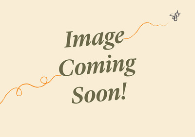 Bottom S/Steel Bush - Elec. Extractor