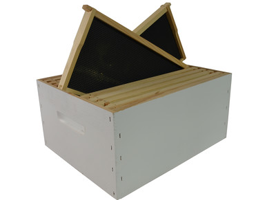 Full Depth RTG Box – Standard Painted w/ 10 x Waxed Ultimate Frames