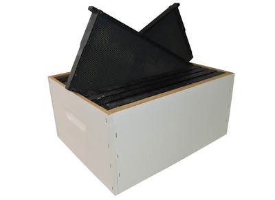 Full Depth RTG Box – Standard Painted w/ 10 x 30g Waxed Plastic Frames