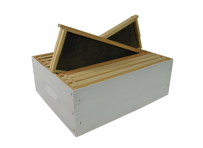 3/4 Depth RTG Box – Standard Painted w/ 10 x Waxed Ultimate Frames