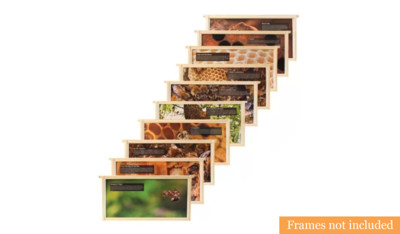 Teaching Frame Inserts - Set of 20