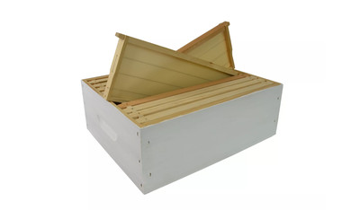 Ready-To-Go 3/4 Depth Super Painted and Dipped incl.  10 x Wooden 