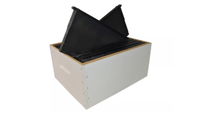 Ready-To-Go Full Depth Super Painted and Dipped incl. 10 x Waxed Plastic Frames (Standard)