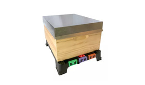 Ready-To-Go Starter Hive - Full Depth (Standard)